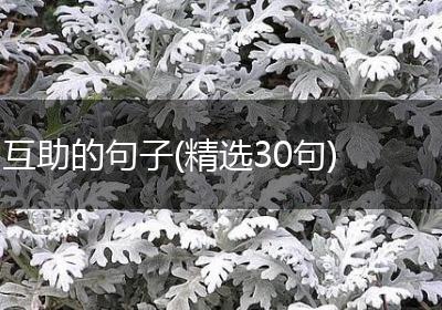 互助的句子(精选30句)