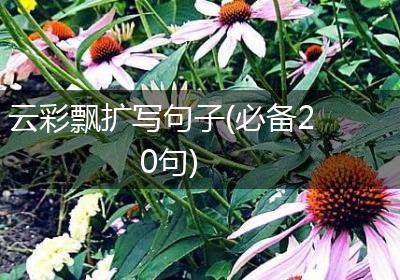 云彩飘扩写句子(必备20句)