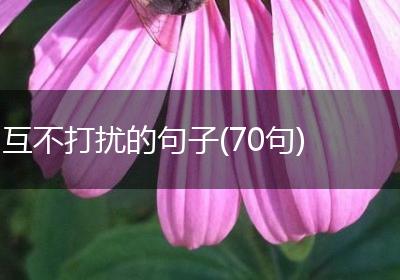 互不打扰的句子(70句)