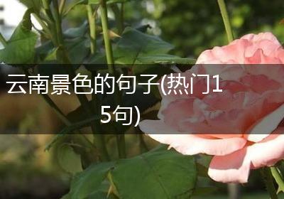 云南景色的句子(热门15句)