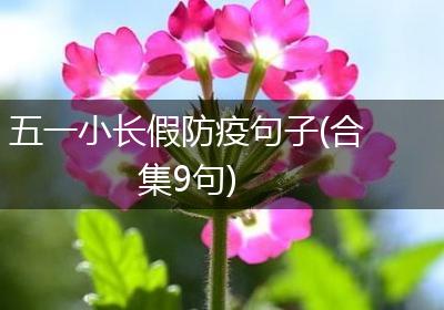 五一小长假防疫句子(合集9句)