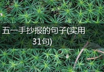五一手抄报的句子(实用31句)