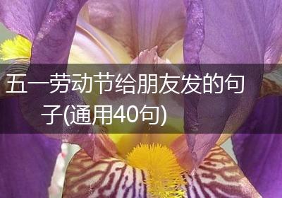 五一劳动节给朋友发的句子(通用40句)