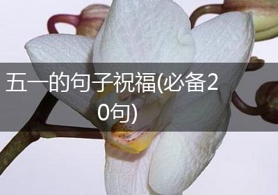 五一的句子祝福(必备20句)