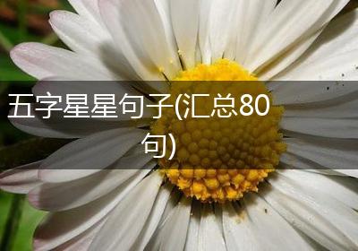 五字星星句子(汇总80句)
