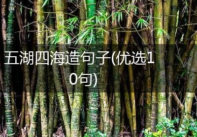 五湖四海造句子(优选10句)