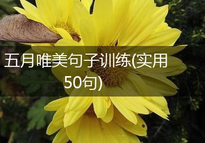五月唯美句子训练(实用50句)