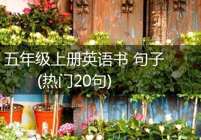 五年级上册英语书 句子(热门20句)