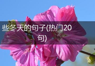 些冬天的句子(热门20句)