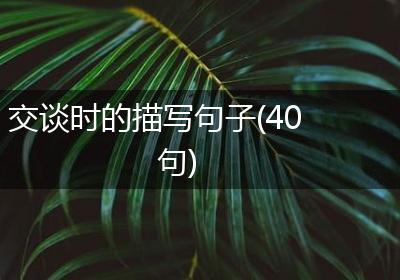 交谈时的描写句子(40句)