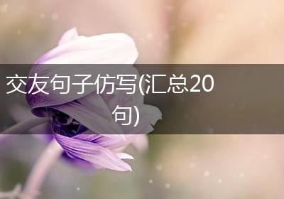 交友句子仿写(汇总20句)