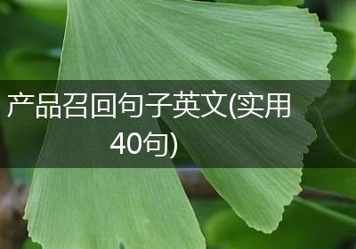 产品召回句子英文(实用40句)