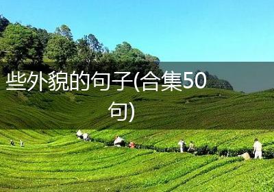 些外貌的句子(合集50句)