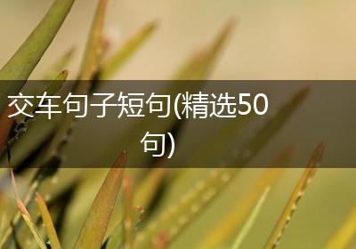 交车句子短句(精选50句)
