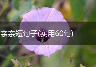 亲亲短句子(实用60句)