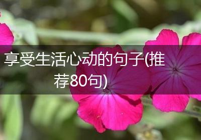享受生活心动的句子(推荐80句)