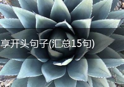 享开头句子(汇总15句)