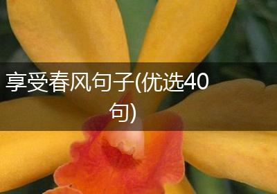 享受春风句子(优选40句)