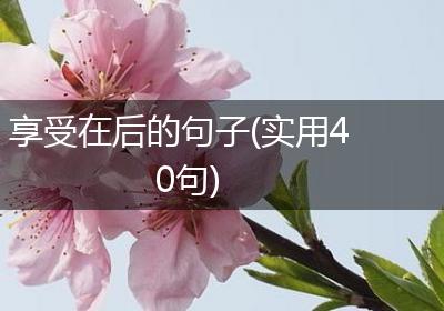 享受在后的句子(实用40句)