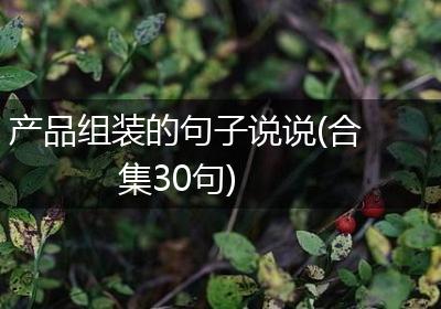 产品组装的句子说说(合集30句)