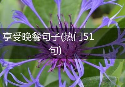 享受晚餐句子(热门51句)