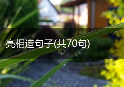 亮相造句子(共70句)