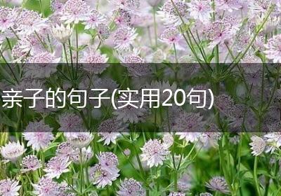 亲子的句子(实用20句)