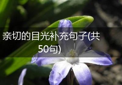 亲切的目光补充句子(共50句)