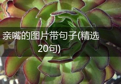 亲嘴的图片带句子(精选20句)