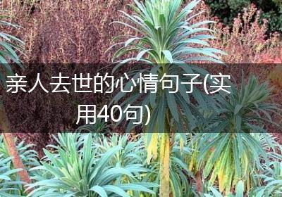 亲人去世的心情句子(实用40句)