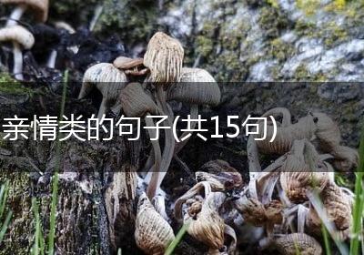 亲情类的句子(共15句)
