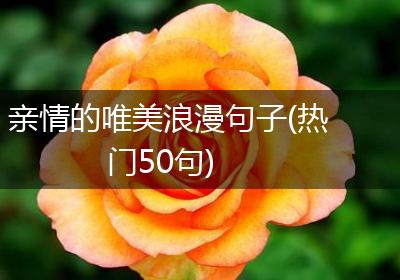亲情的唯美浪漫句子(热门50句)