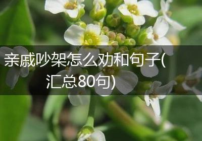 亲戚吵架怎么劝和句子(汇总80句)