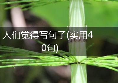 人们觉得写句子(实用40句)