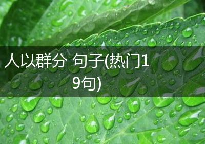 人以群分 句子(热门19句)