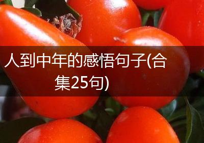 人到中年的感悟句子(合集25句)