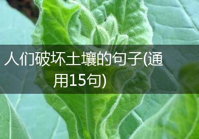 人们破坏土壤的句子(通用15句)