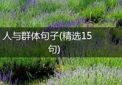 人与群体句子(精选15句)
