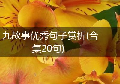 九故事优秀句子赏析(合集20句)