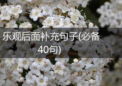 乐观后面补充句子(必备40句)