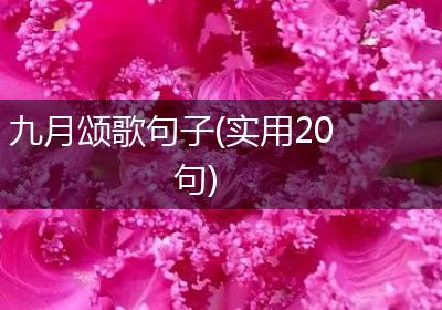九月颂歌句子(实用20句)