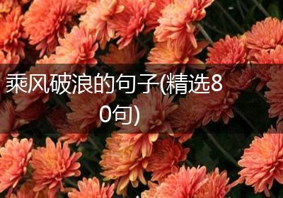 乘风破浪的句子(精选80句)
