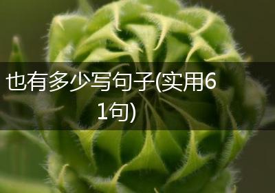 也有多少写句子(实用61句)