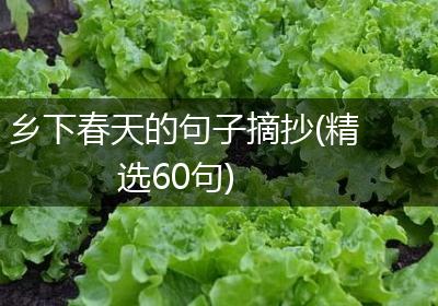 乡下春天的句子摘抄(精选60句)