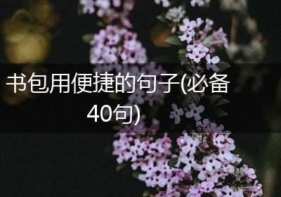 书包用便捷的句子(必备40句)
