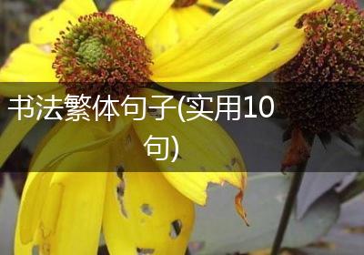 书法繁体句子(实用10句)