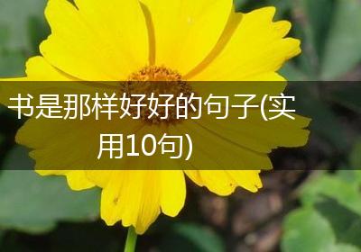 书是那样好好的句子(实用10句)