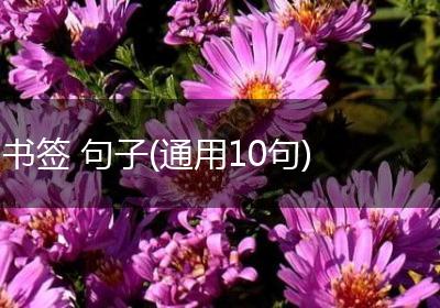 书签 句子(通用10句)