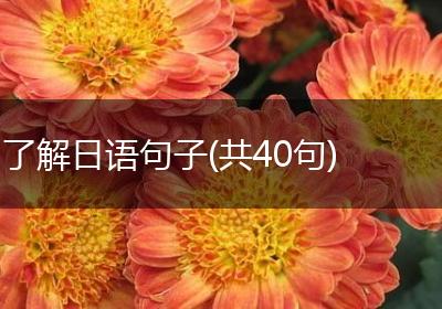 了解日语句子(共40句)