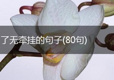 了无牵挂的句子(80句)